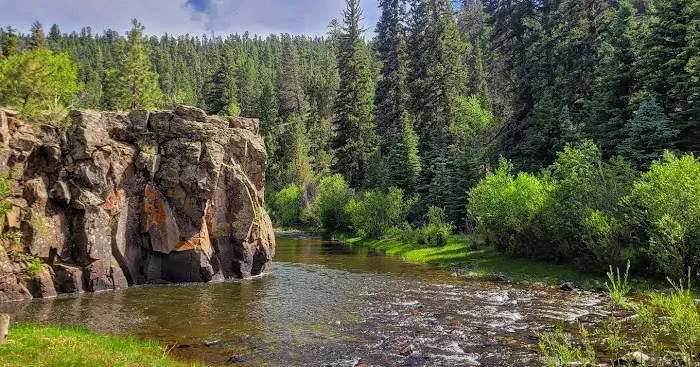 Rio de Los Pinos Campground 0