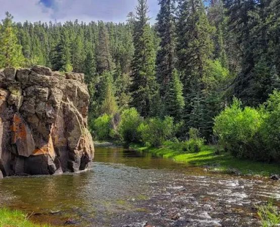 Rio de Los Pinos Campground