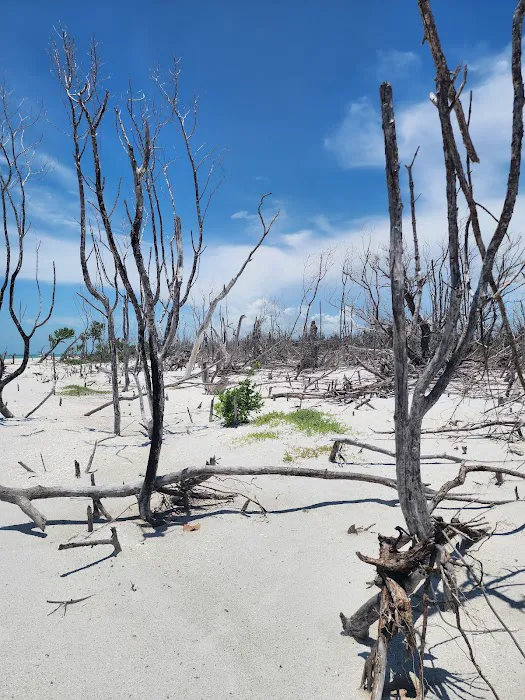 Cayo Costa Beach 2