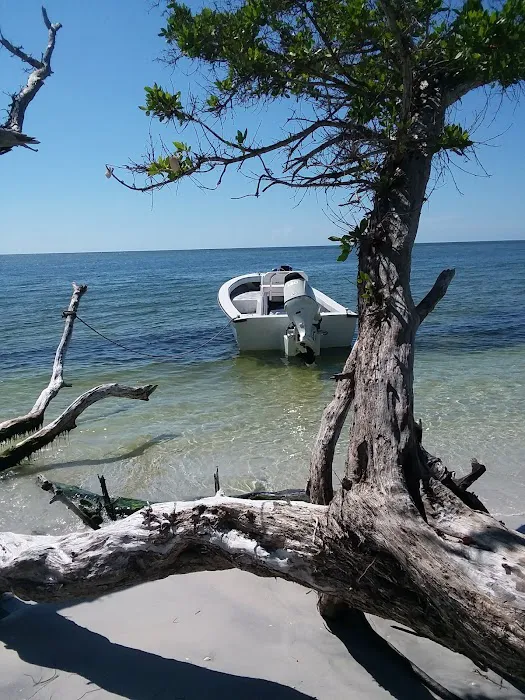 Cayo Costa Beach 8