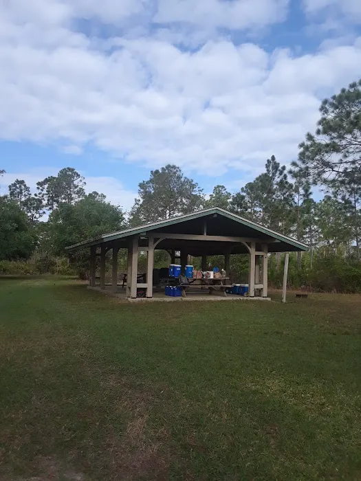 Mohawk Campsite 8