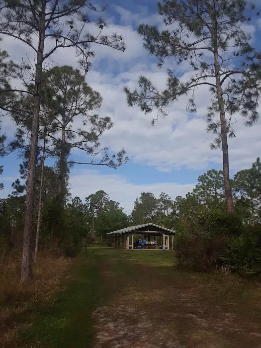 Mohawk Campsite 5