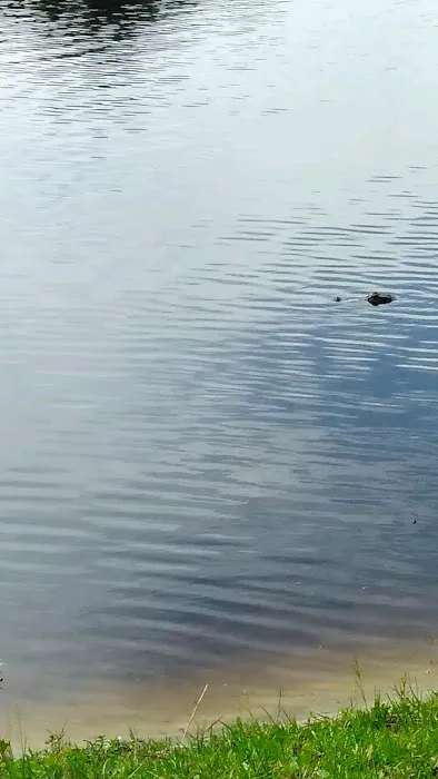 Holbrook Pond 6