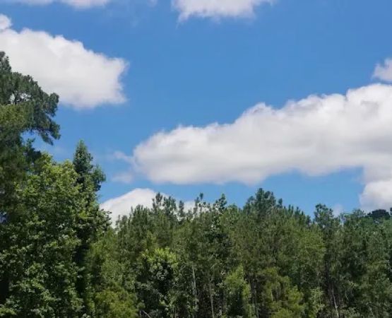 Holbrook Pond