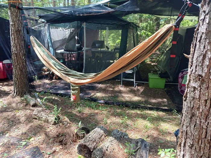 My backyard camp 3