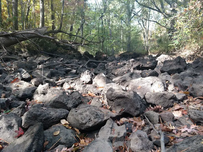 Dooly Campground 7