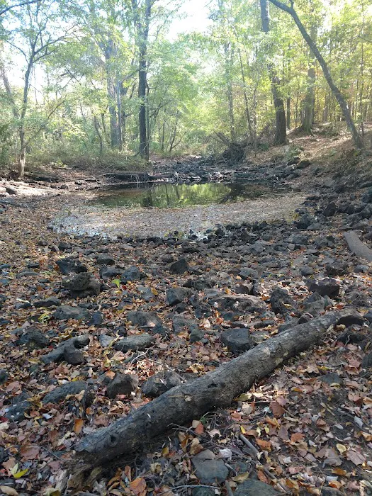 Dooly Campground 4