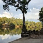 Rocky Bend Flint River Retreat