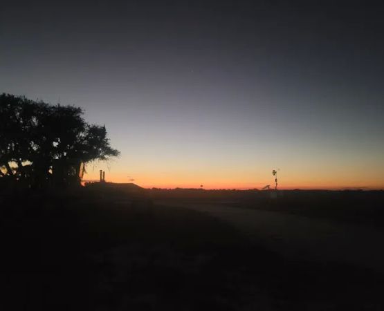 Kissimmee Prairie Preserve Family Campground