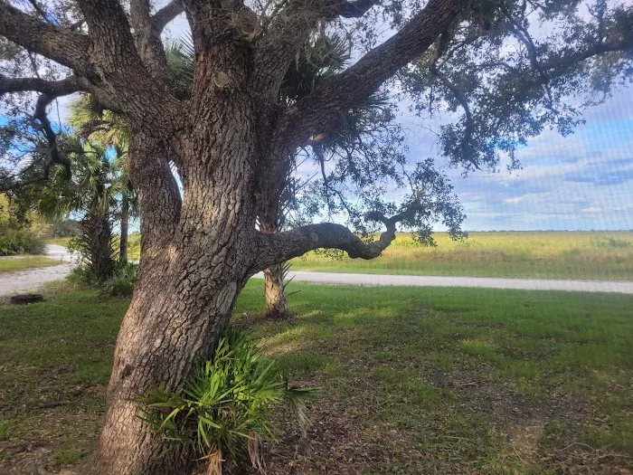Kissimmee Prairie Preserve Family Campground 4