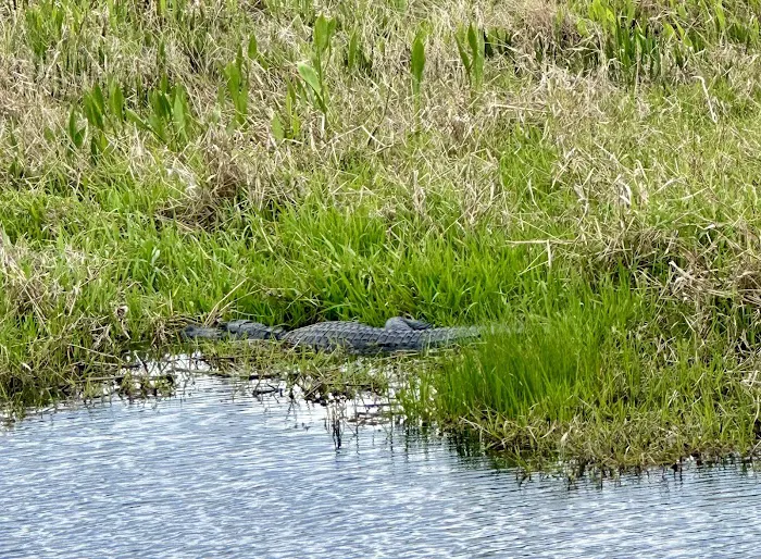 Kissimmee Prairie Preserve Family Campground 6