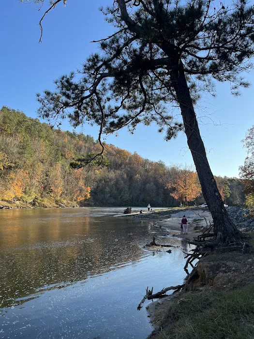 River Ridge Campground 8