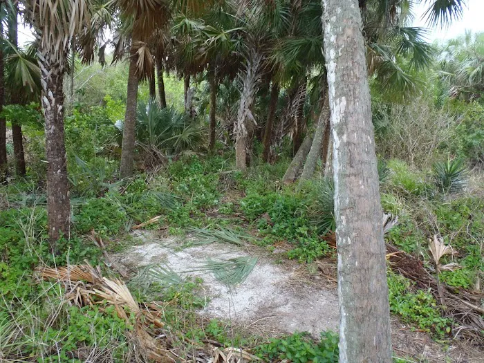 Highland Beach 7