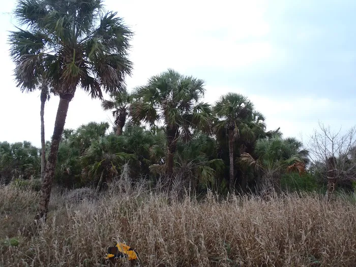 Highland Beach 2