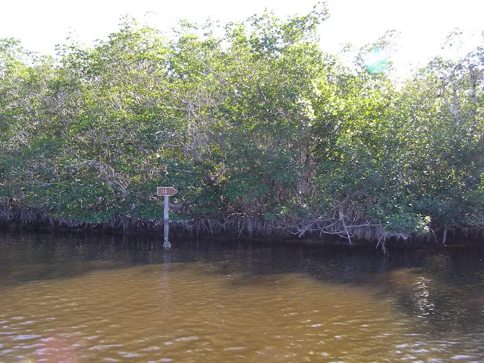 Harney River Chickee 6
