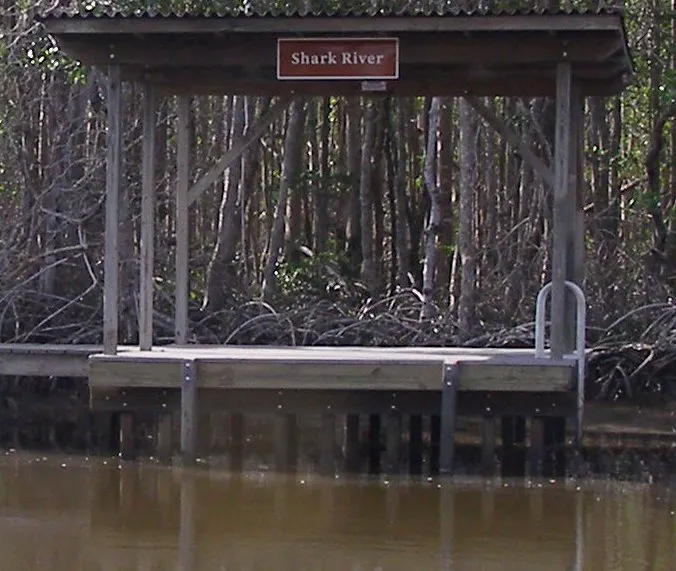 Shark River Chickee 9
