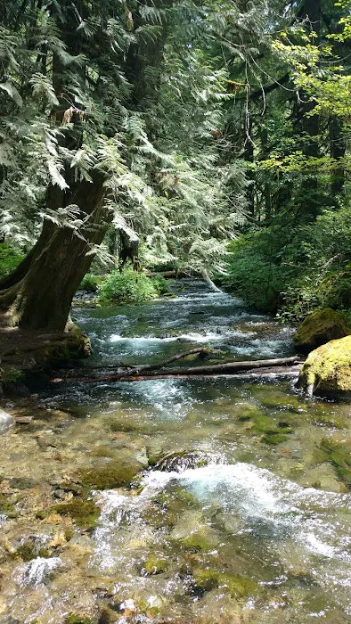 Raab Campground 8