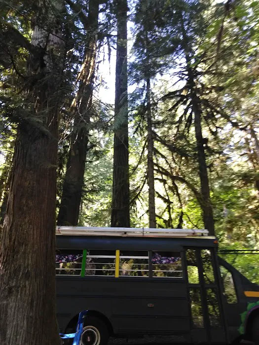 Kingfisher Campground 9