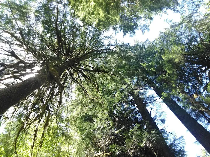 Kingfisher Campground 4
