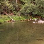 Kingfisher Campground