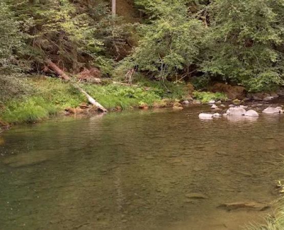 Kingfisher Campground