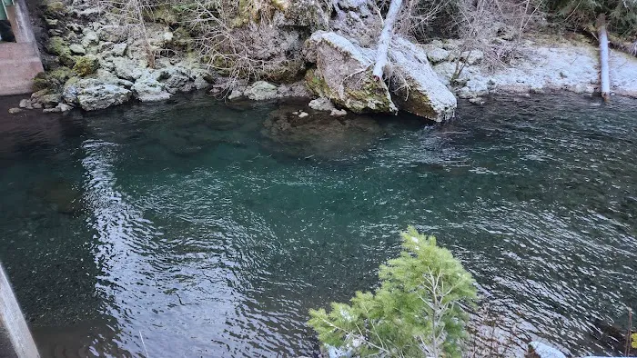 Little Fan Creek Campground 2