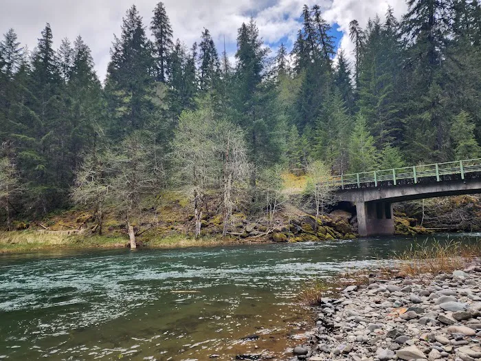 Little Fan Creek Campground 6
