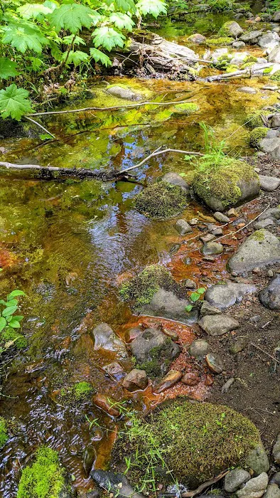 Campground: Government Mineral Springs 3