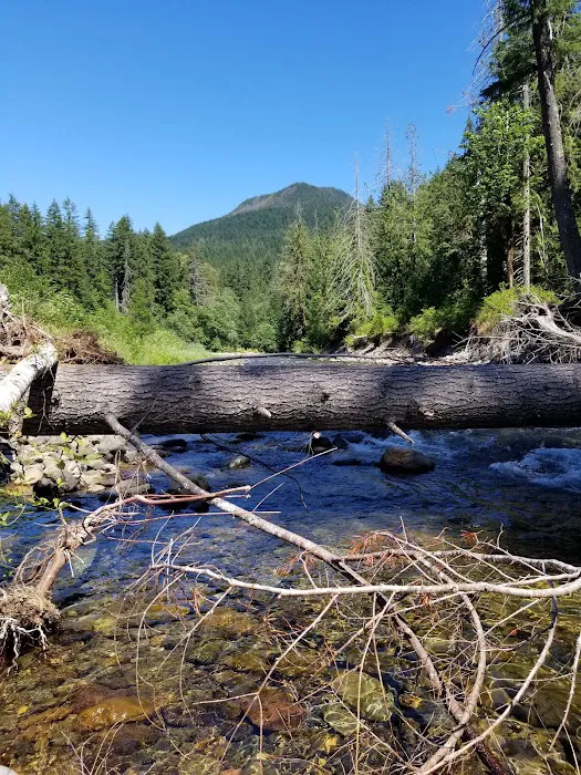 Campground: Government Mineral Springs 7