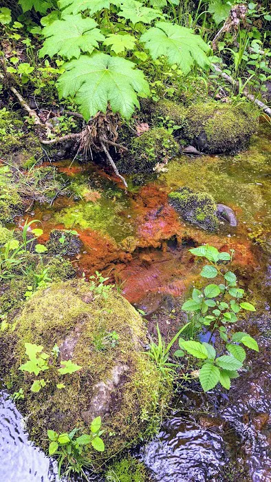 Campground: Government Mineral Springs 0