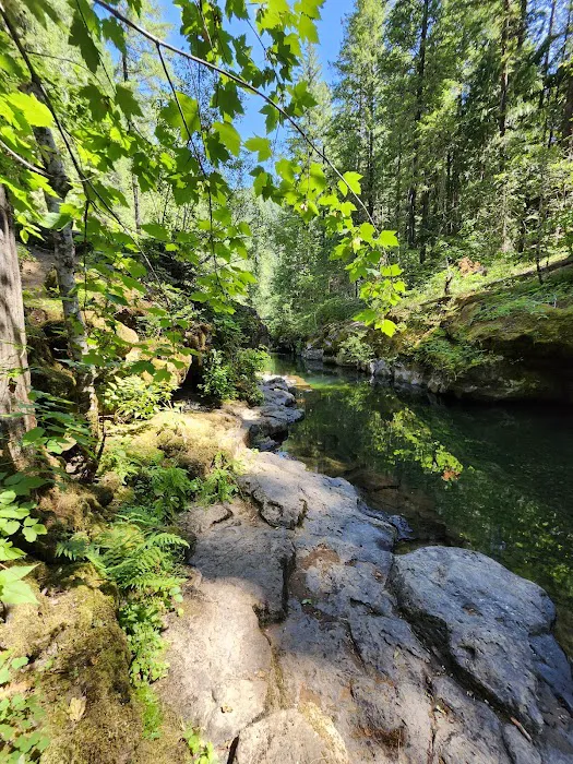 Paradise Creek 8