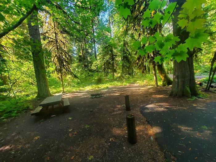 Paradise Creek 4