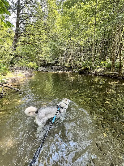 Paradise Creek 7