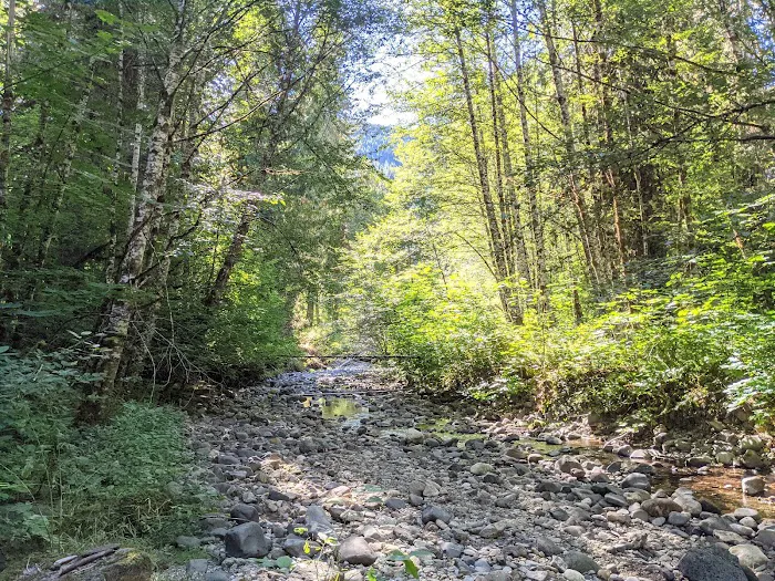 Paradise Creek 6