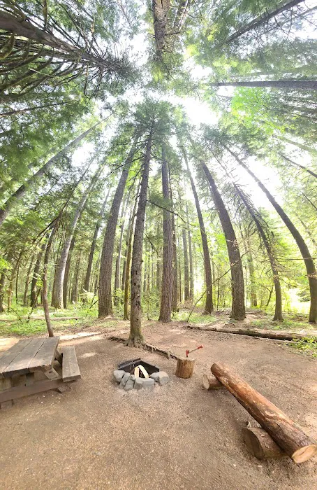 Paradise Creek 3