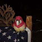 Dead dudes railroad ranch