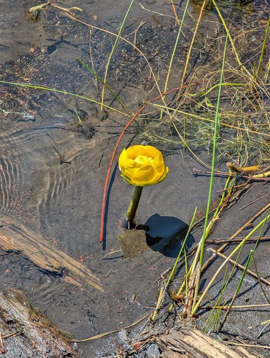 Meadow Lake 1 3