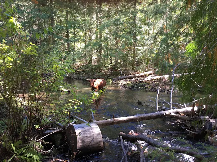 Clear Creek Crossing Campground 2