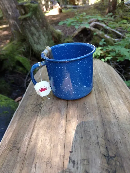 Forest Creek Campground 5