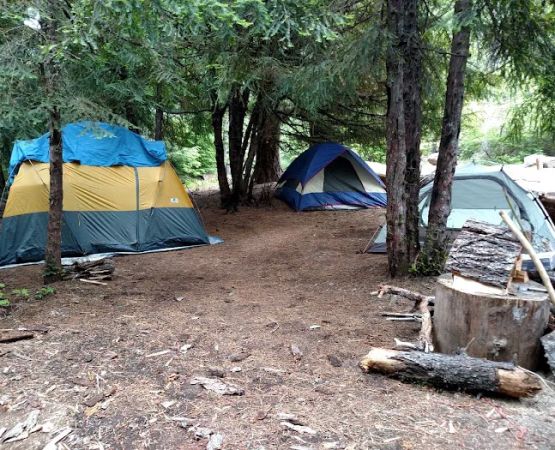 Forest Creek Campground