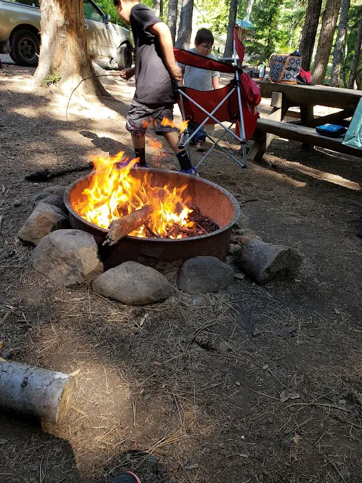 Forest Creek Campground 3