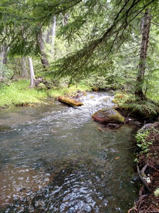 Forest Creek Campground 6