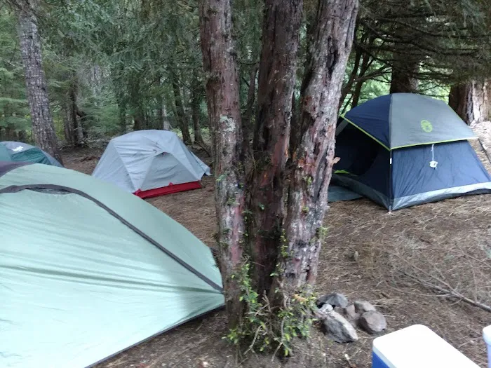 Forest Creek Campground 9