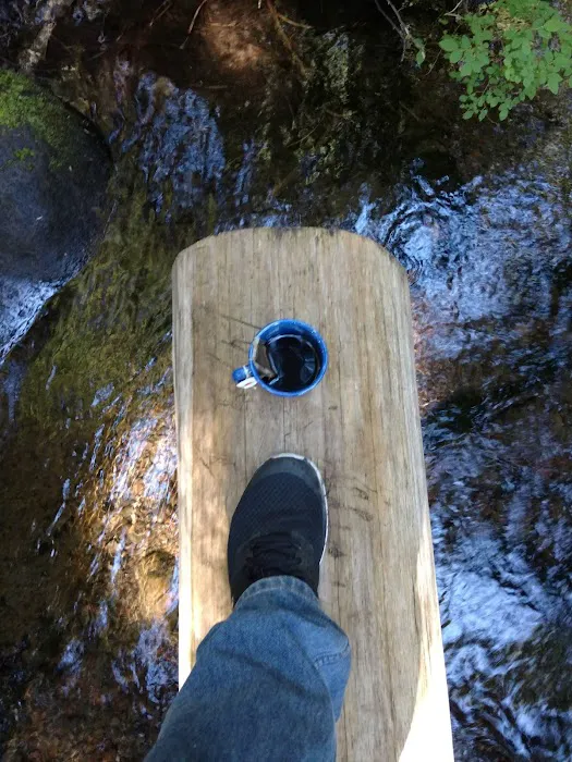 Forest Creek Campground 2