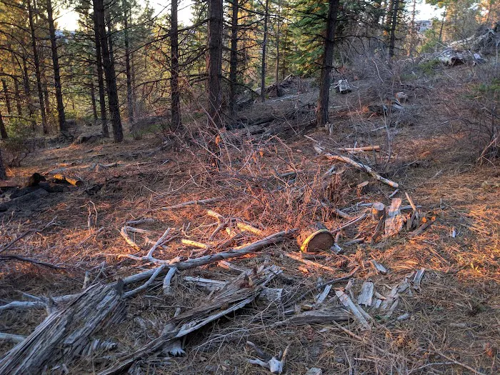 Eightmile Campground 9