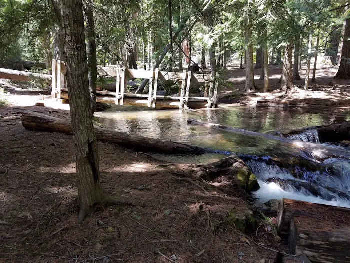 Eightmile Campground 5