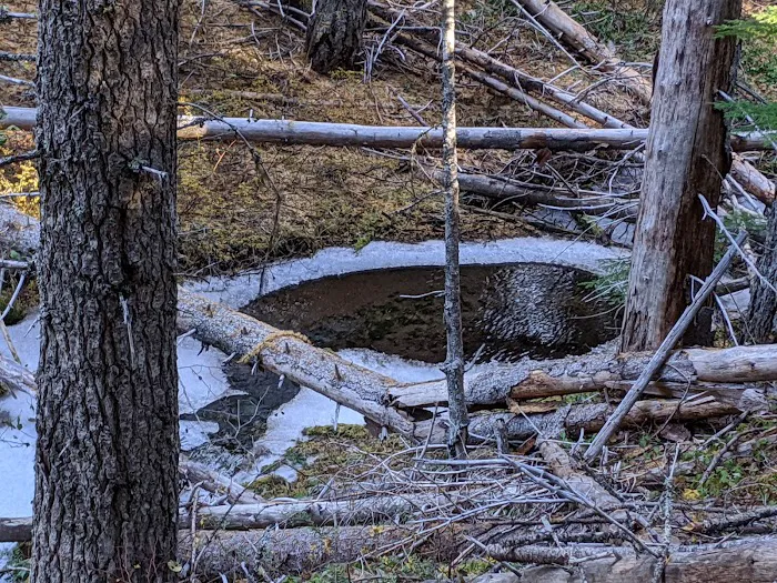 Eightmile Campground 4