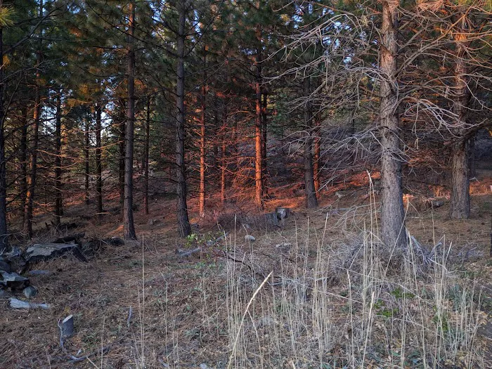 Eightmile Campground 7