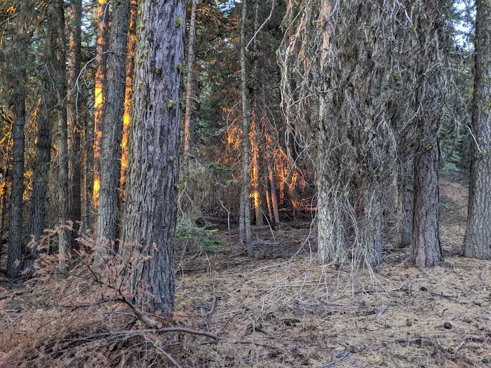 Eightmile Campground 6