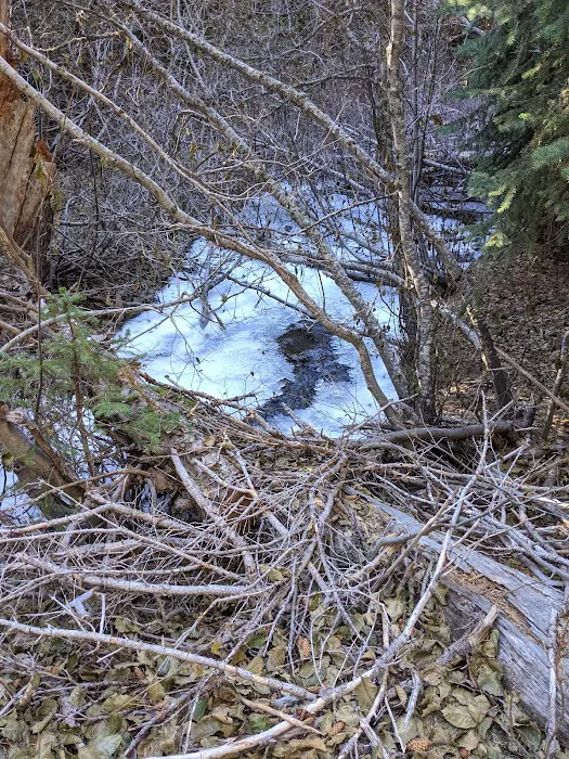 Eightmile Campground 2